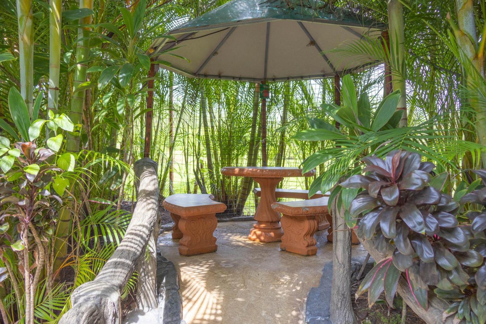 Hotel Relax Termalitas - Thermal Water La Fortuna Εξωτερικό φωτογραφία