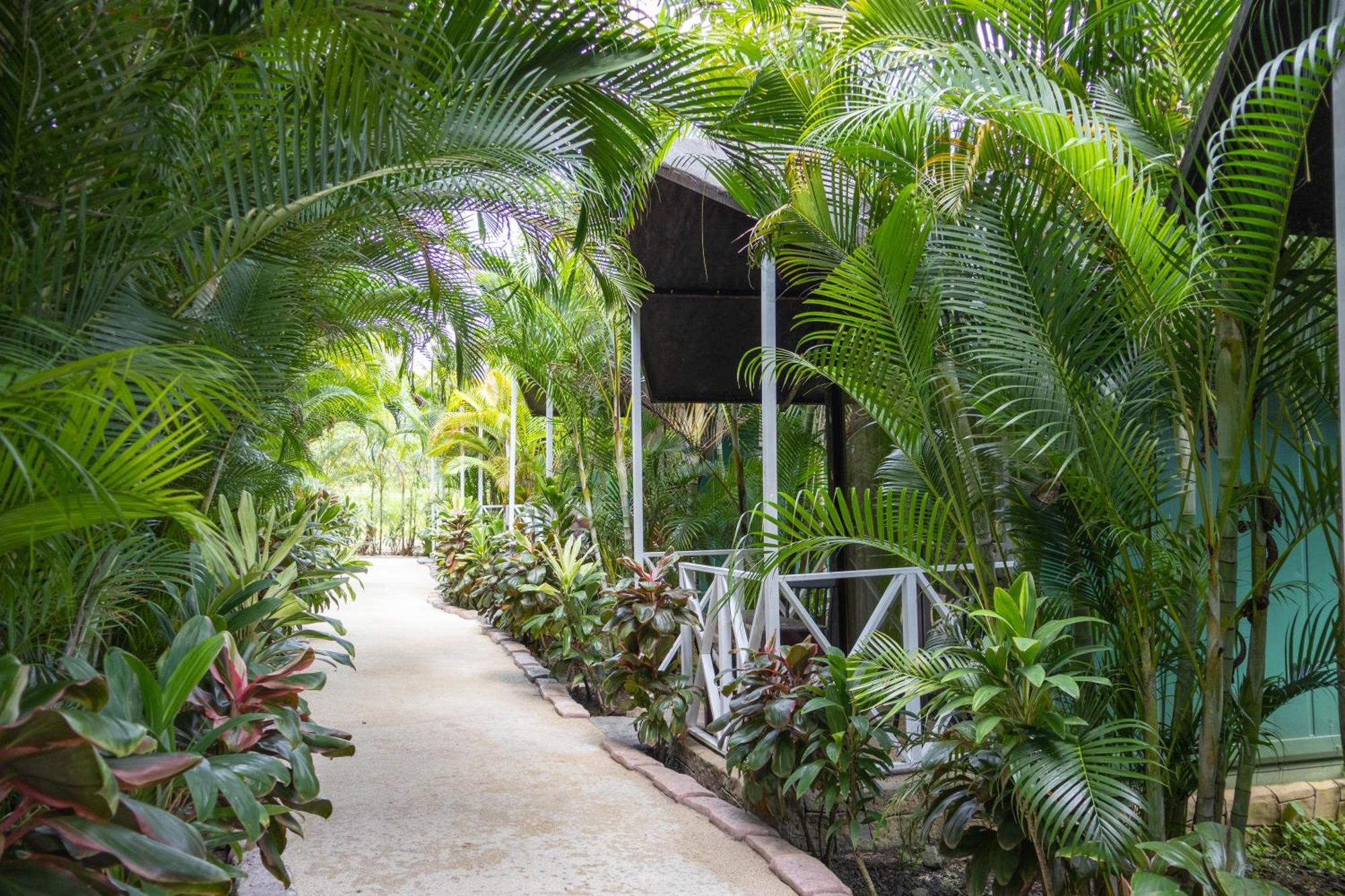 Hotel Relax Termalitas - Thermal Water La Fortuna Εξωτερικό φωτογραφία